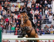 BOST QUOD COEUR LaBaule2013- S5 8621 : 2013, BOST ROGER YVES, La Baule, QUOD COEUR DE LA LOGE, foto di Stefano Secchi ©